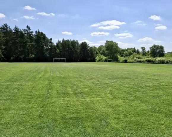 DLA GRUP ZORGANIZOWANYCH